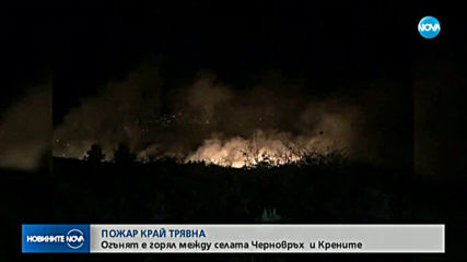 Новините на NOVA (14.11.2019 - 6.30 ч.)
