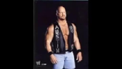 Stone Cold Steve Austin.wmv