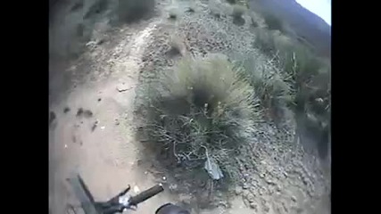 Gopro Inches from death_ downhill biker