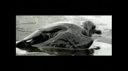 Linkin Park - What Ive Done