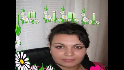 slan4iceee