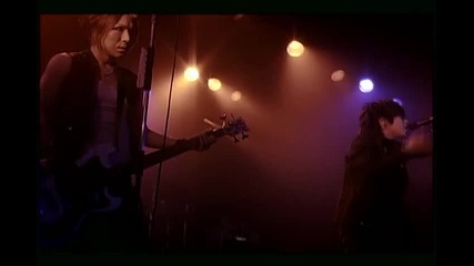 The Studs - unsightly stupid 