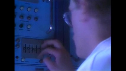 Video Kids - Woodpeckers From Space