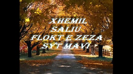 Xhemil Saliu - Flokt E Zeza Syt Mavi