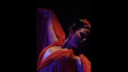 Flamenco Lounge Levantis Friends - Gypsy Air 