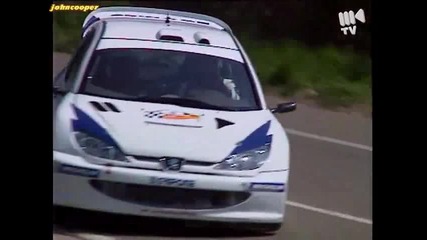 Peugeot 206 Wrc - Rallye Deutschland 2001