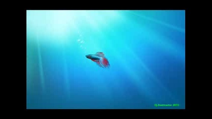 Unknown Remix: Area 51 - Love Me On Venus