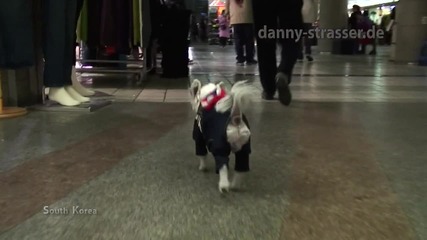 Адреналинът е на ниво :)