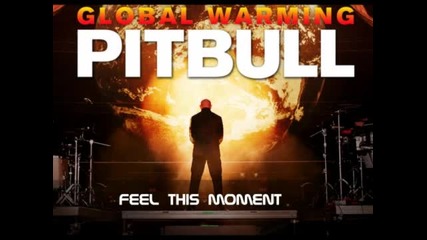 Pitbull Global Warming Album 2012