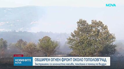 Пожари в Тополовградско и в Пазарджишко
