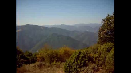 Кръстова гора 11
