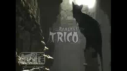 Project Trico Hd - Playstation Lifestyle