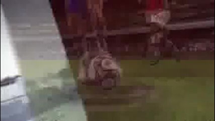 Fifa 2010 Трейлър