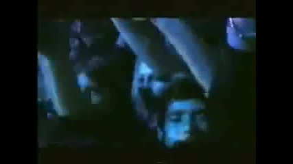 Камелия-луда по тебе