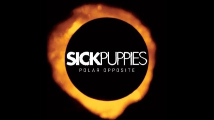 Sick Puppies - You Are Goin' Down (acoustic Version)