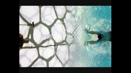 Mike Phelps, ,