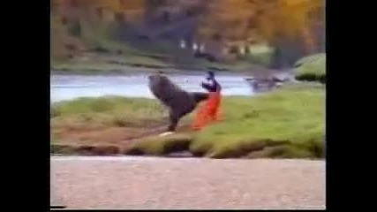 Смях До Скъсване