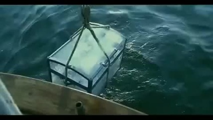 Preslava - Predai se na jelanieto