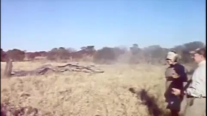 Каква пушка само!///