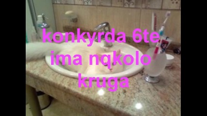 konkyrs4e