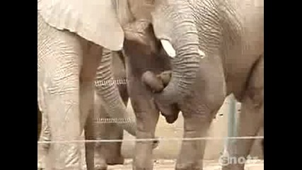 What you got there...какво Имаш Там 