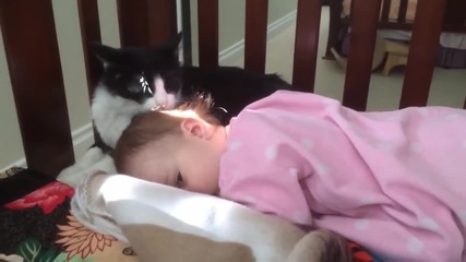 Котка , грижеща се за чистотата на бебето !