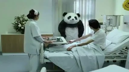 Не можете да откажете на тази панда ...