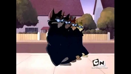 H D - Tom And Jerry - Special Episode The Karateguard