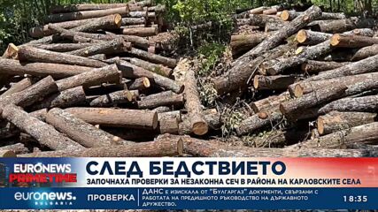 След бедствието: Започнаха за незаконна сеч в района на Карловските села