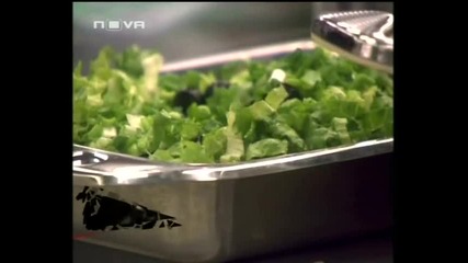Vip Brother 3 Ep30 Съквартирантите Постят