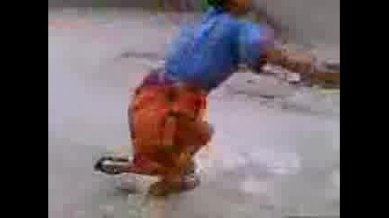 Rokito6inka