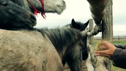 Muharem Serbezovski - Da je srce dijamant