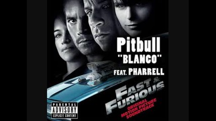 Pitbull - Blanco