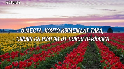 5 места, които изглеждат така, сякаш са излезли от някоя приказка