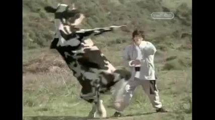 Kung Fu Kрава ~ 100% smqh ~