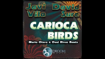 Javi Vila - Carioca Birds (original Mix)