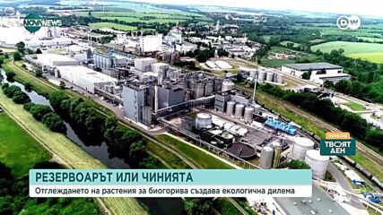 Резервоарът или чинията: Отглеждането на растения за биогорива създава екологична дилема
