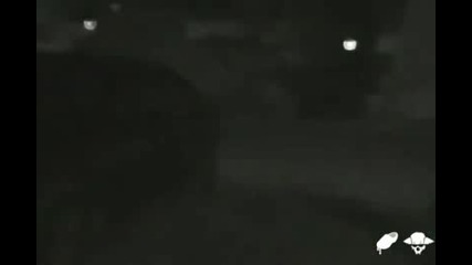 Лош Късмет