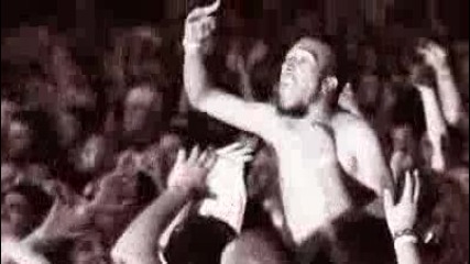 System Of A Down - the Forest project 