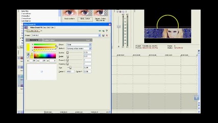 Sony Vegas | Effect 4 |