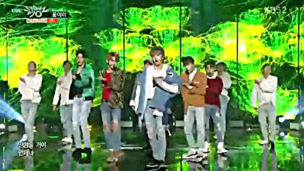 Jbj - My Flower-к