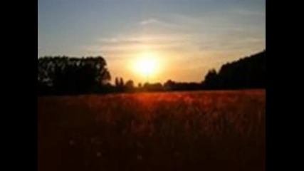 Fields Of Gold by Sting 