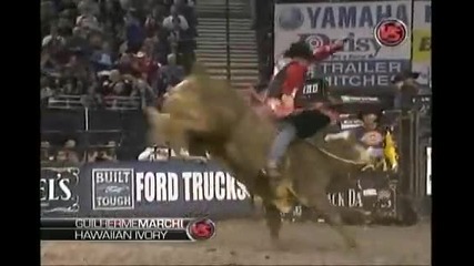 Guilherme Marchi Vs Hawaiian Ivory 