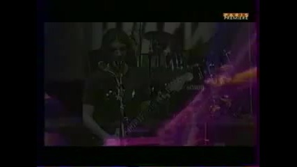 Placebo Lady of the Flowers