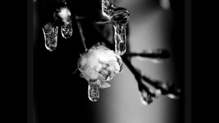 Music Therapy Playlist