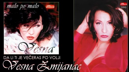 Vesna Zmijanac - Da li ti je veceras po volji - (official audio 1995)