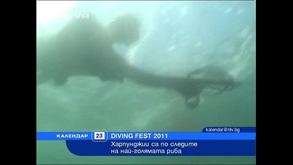 Харпунджии за най-голямата риба