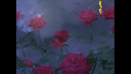 Edguy - Scarlet Rose (ПРЕВОД)