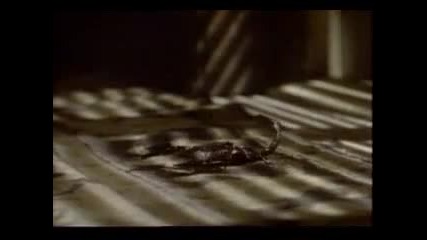 Scorpions - Im Leaving You