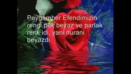 ilahi 